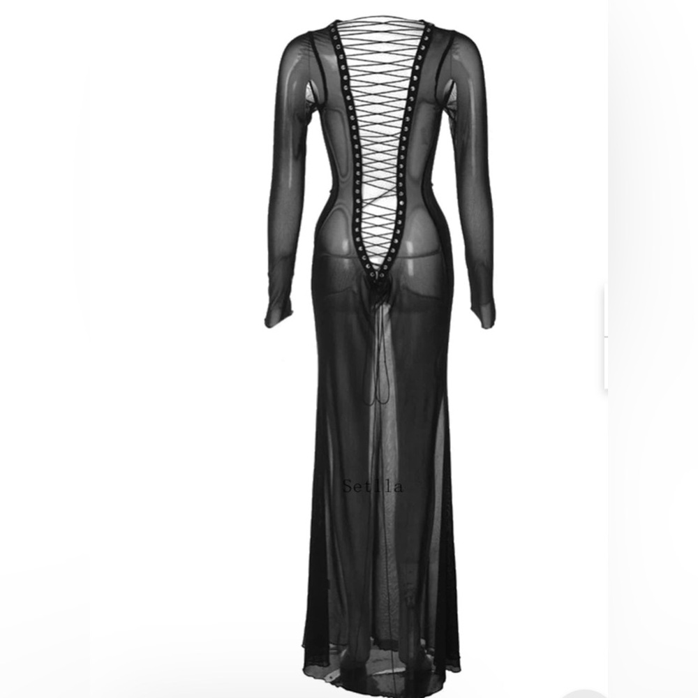 Sheer Black Long Sleeve Maxi Dress